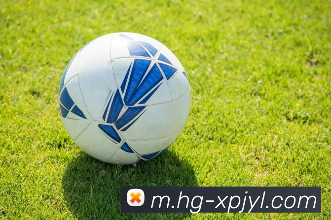 澳门新葡京娱乐平台生态图