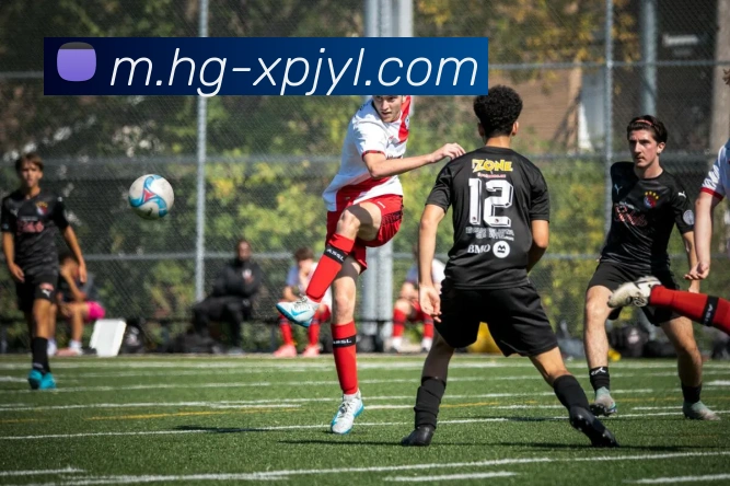 澳门新葡京娱乐全站App